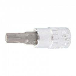 ΜΥΤΕΣ ΚΑΡΥΔΑΚΙ 1/4" STELS