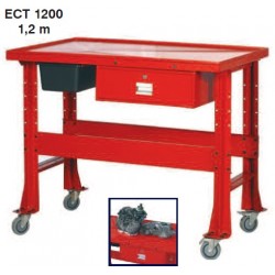 ΠΑΓΚΟΣ ΚΑΘΑΡΙΣΜΟΥ EXPRESS ECT 1200 - 1,2m